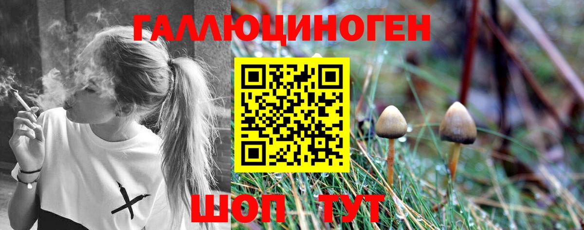 Псилоцибиновые грибы ЛСД Елизово